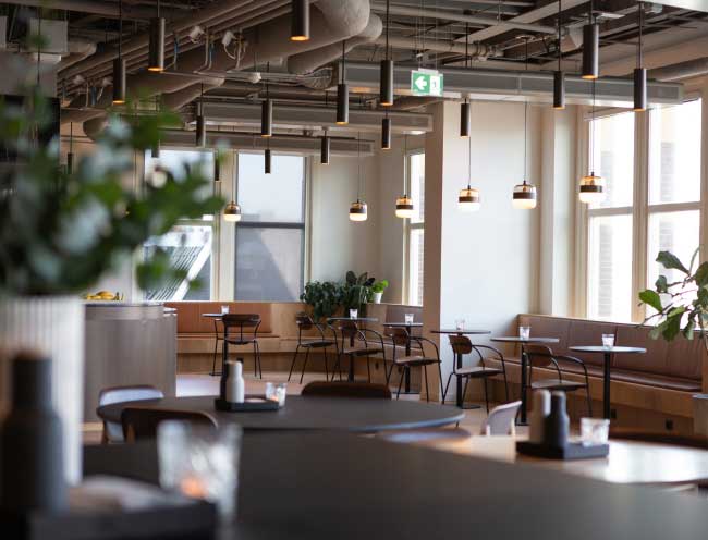 Beyond the Plate: The Art of Fine Dining at 5Monkey Bistro